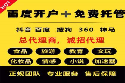 百度推广实战攻略：案例与策略